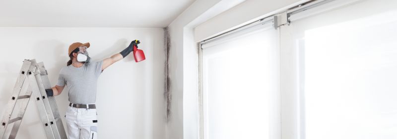 Basement Mold Removal in Dallas, TX