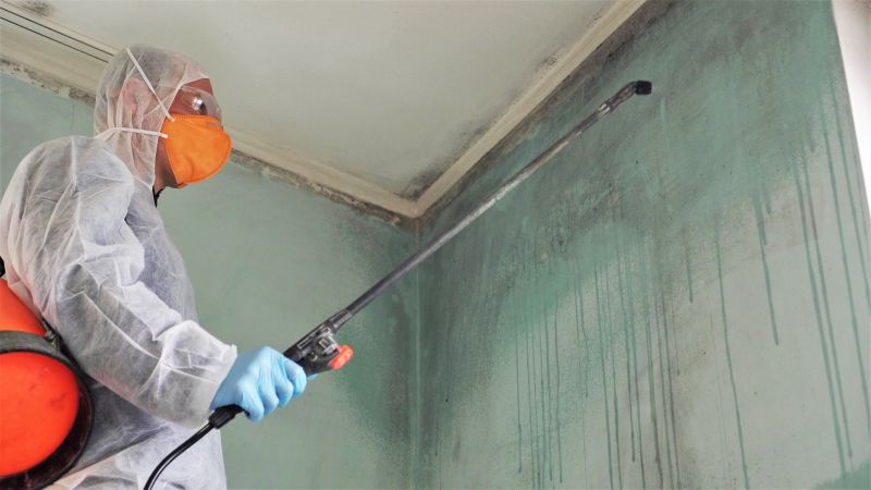 Attic Mold Remediation in West Palm Beach, FL
