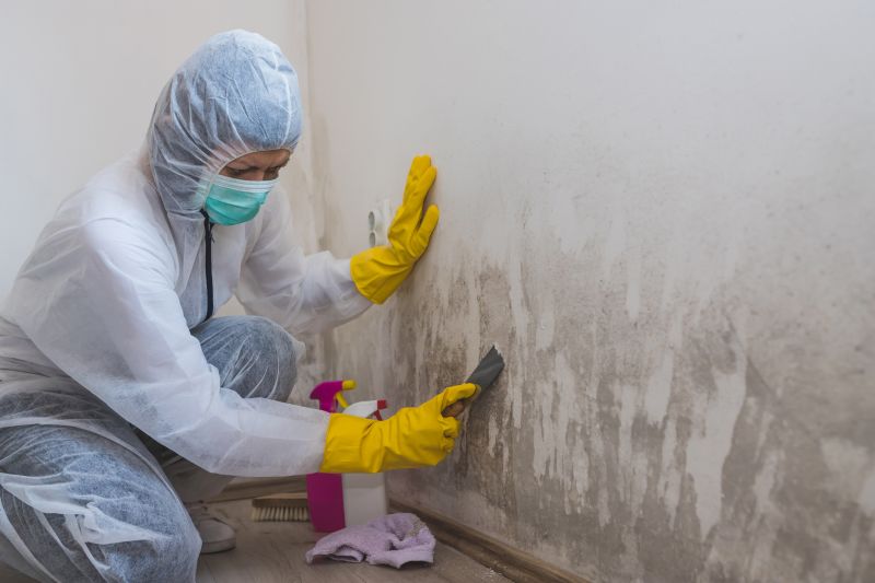 Basement Mold Remediation in Fort Worth, TX