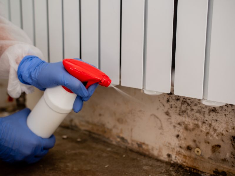 Black Mold Remediation in Boca Raton, FL