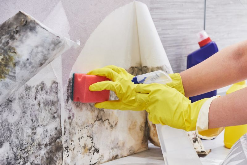 Crawlspace Mold Remediation in Dallas, TX