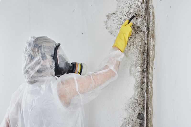 Mold Abatement in Boca Raton, FL