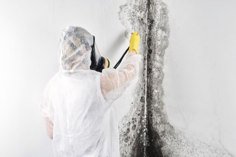 Mold Abatement Service in Fort Worth, TX