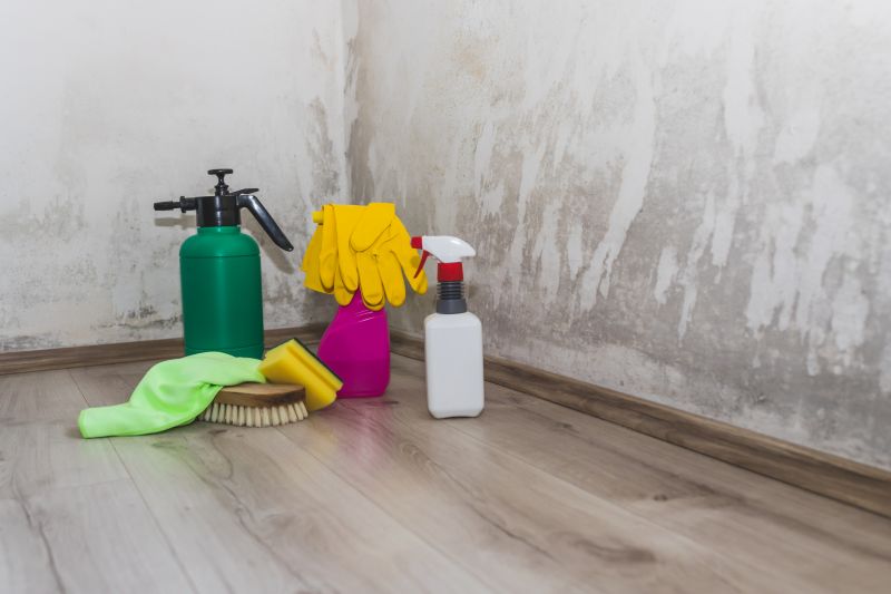 Mold Cleanup Service in Dallas, TX