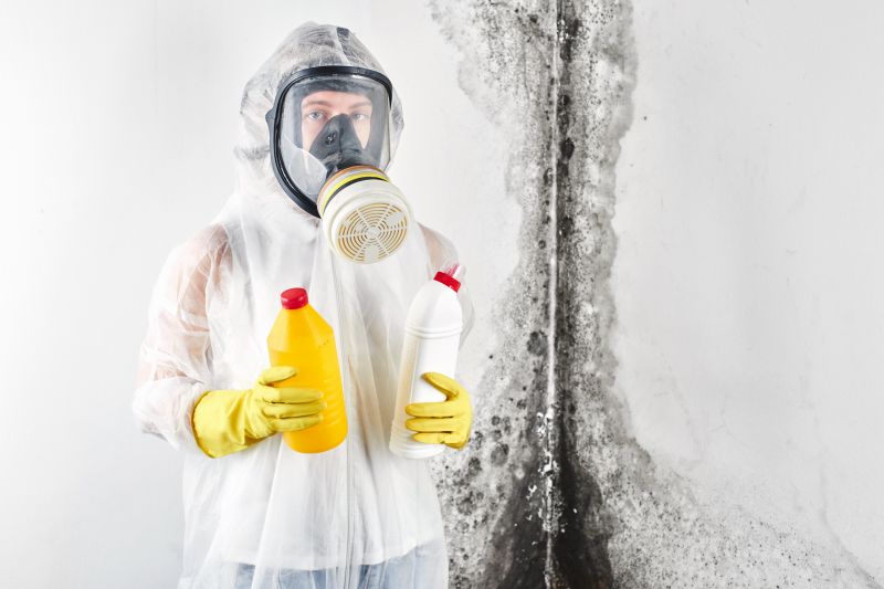 Mold Cleanup Service in Dallas, TX