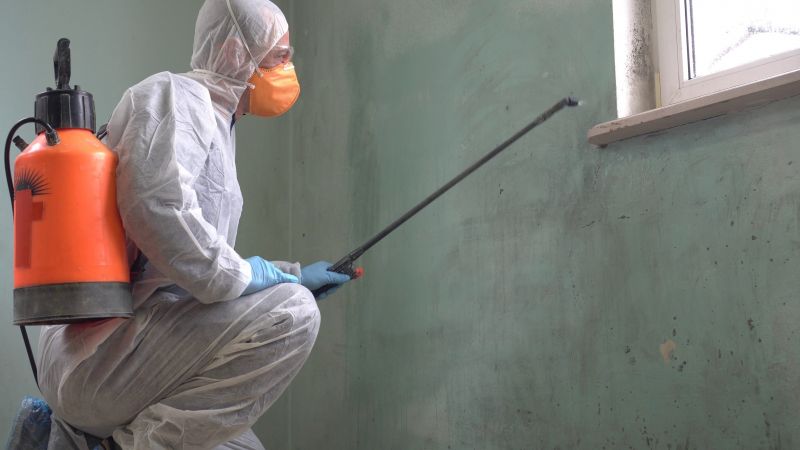 Mold Control in Delray Beach, FL