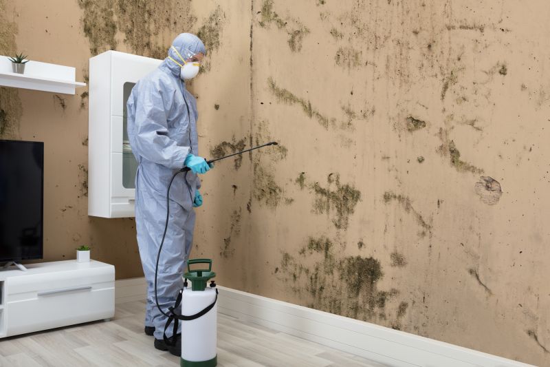 Mold Detection in Palm Beach County, FL