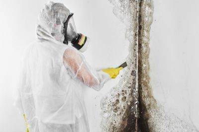 Mold Mitigation Service in Dallas, TX