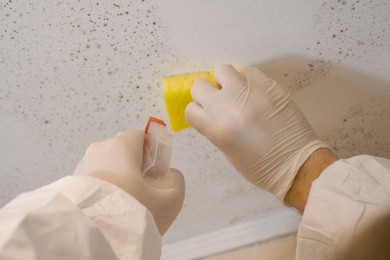 Mold Remediation Service in Fort Worth, TX
