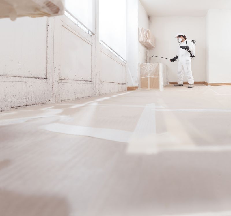 Mold Remediation Service in Essex County, NJ