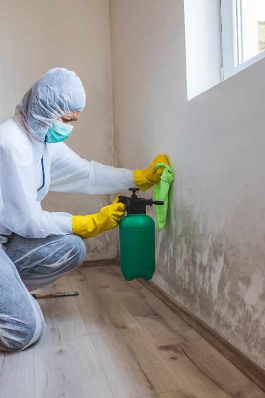 Mold Removal in Dallas, TX