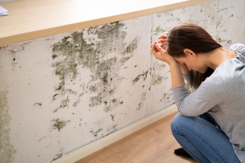 Mold Removal in Essex County, NJ