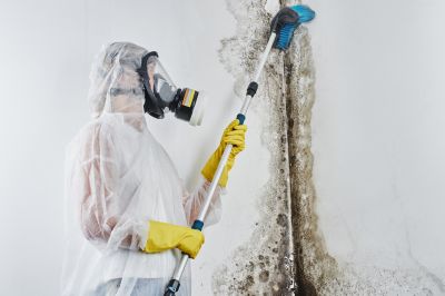 Mold Restoration in Fort Lauderdale, FL