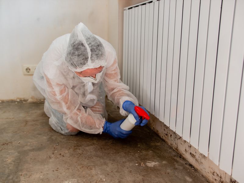 Mold Restoration in Fort Lauderdale, FL