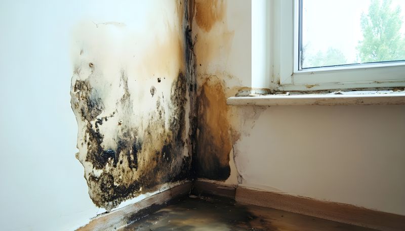 Mold Restoration in Jupiter, FL