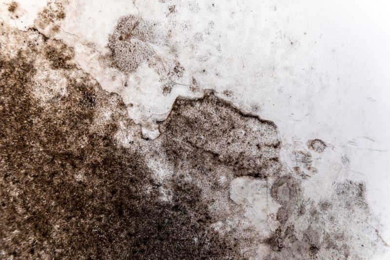 Early Mold Detection